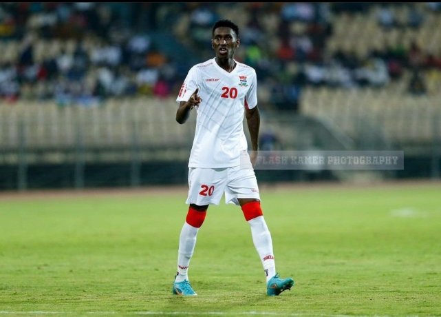 富勒姆升班马奇迹,米特罗维奇单季20球